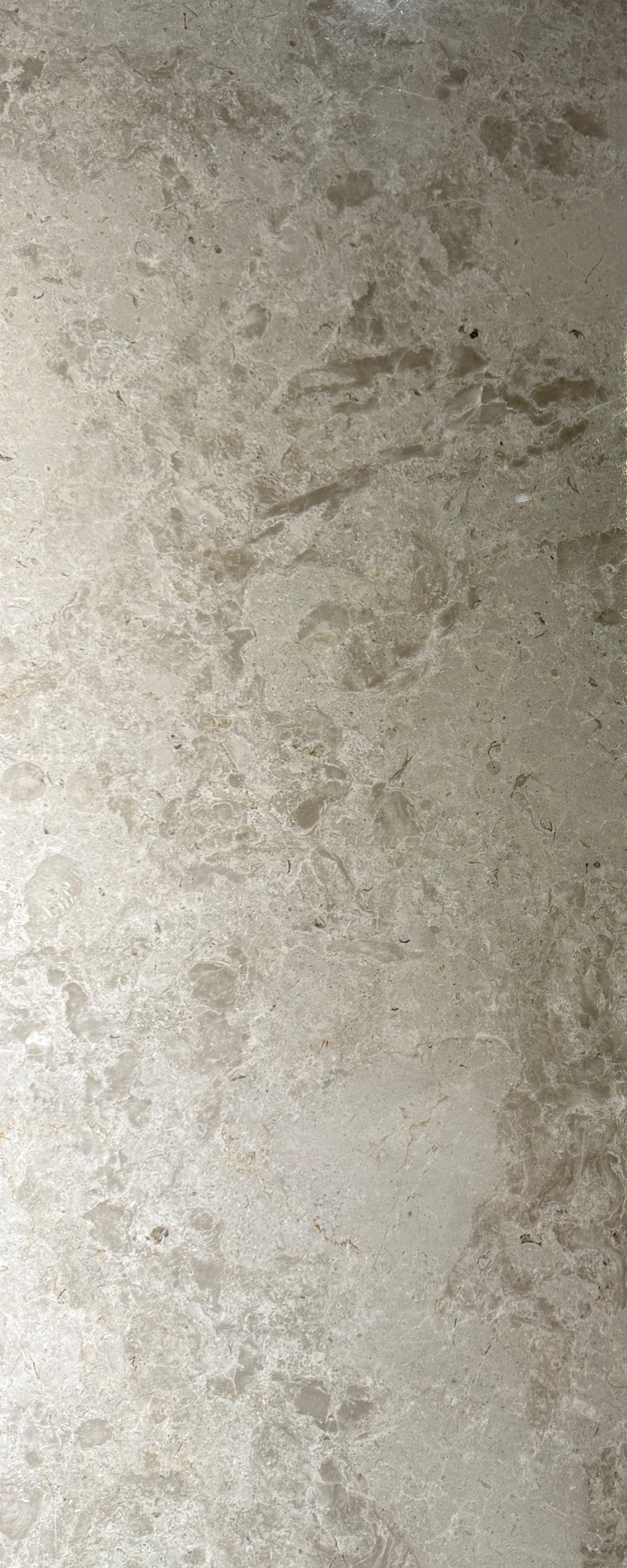 Switzerland Grey